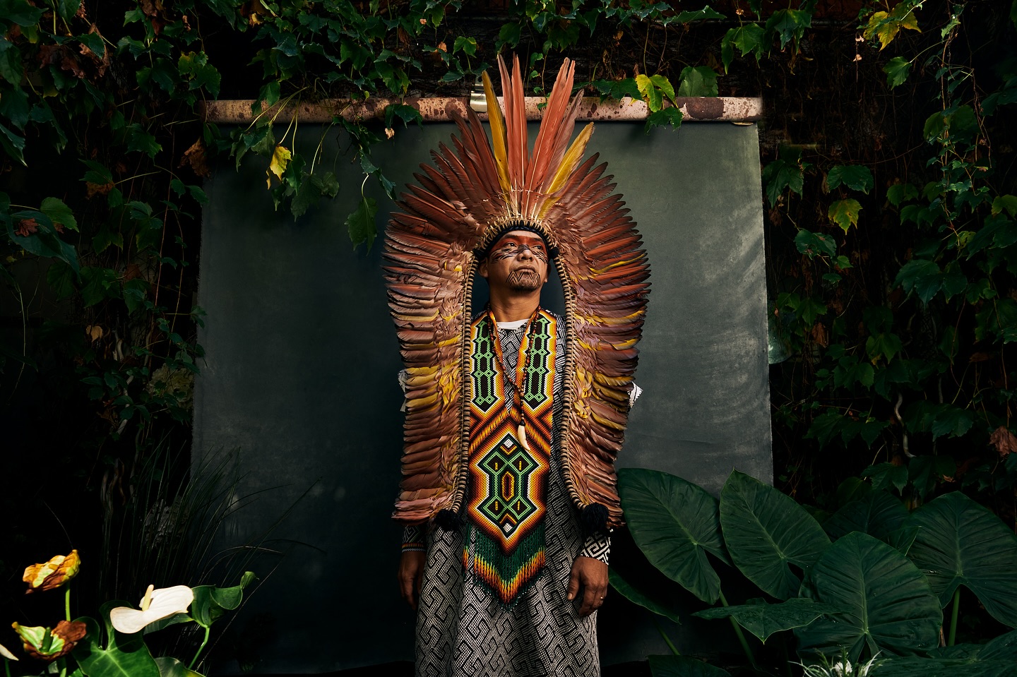 Amazon rainforest canopy